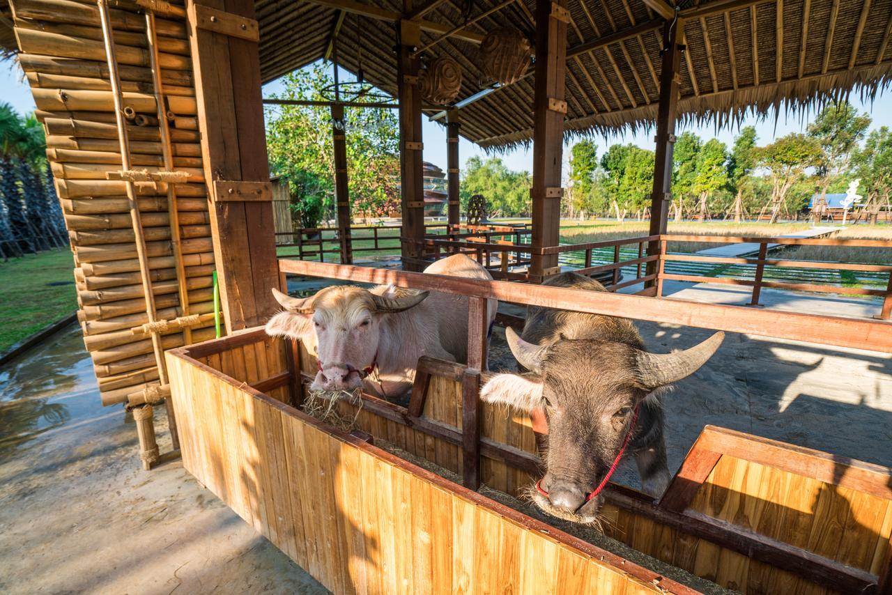 The Buffalo Amphawa Samut Songkhram Экстерьер фото